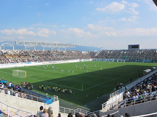 韩国新星